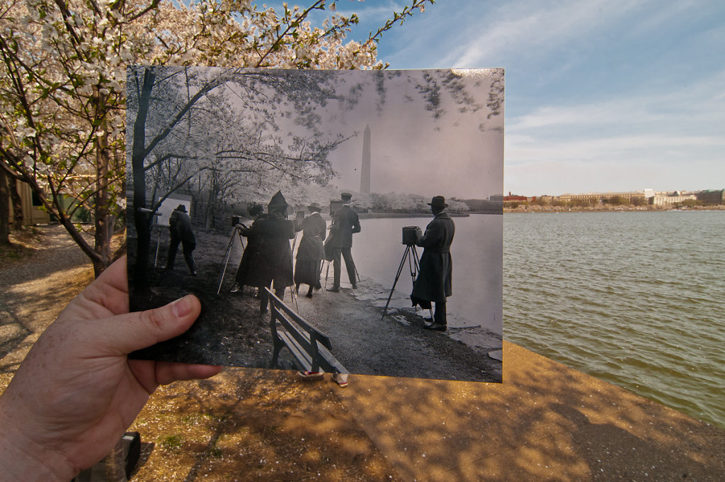 Photographers at the Tidal Basin