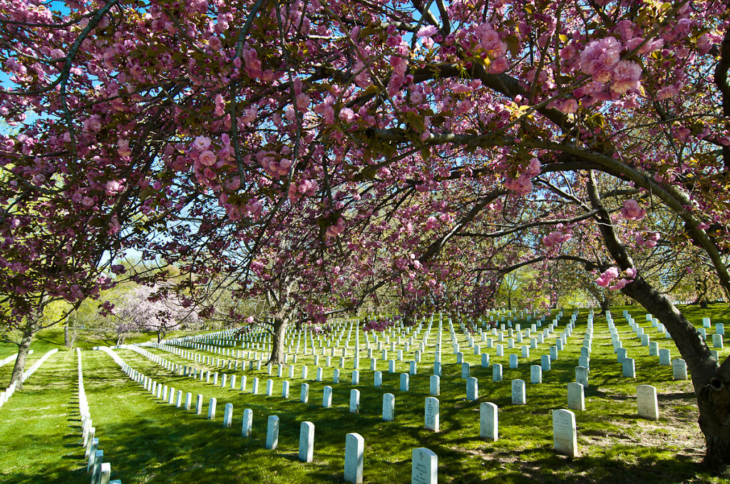 Arlington, VA